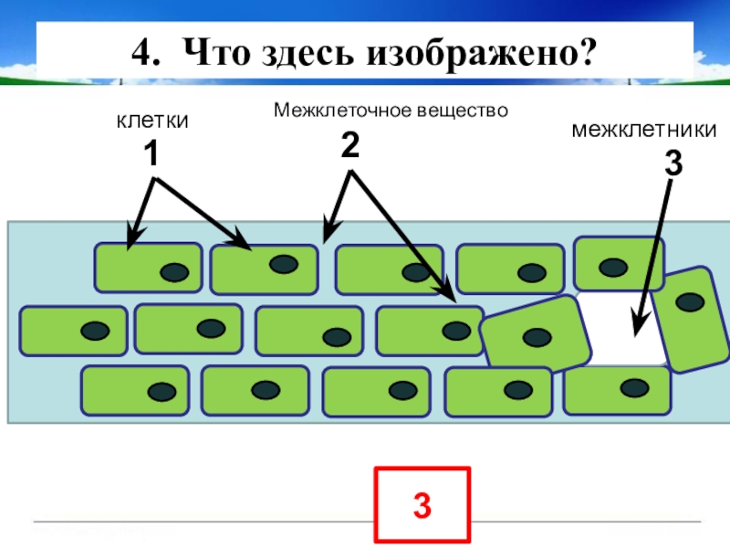 Соединение ячеек