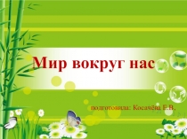 Презентация: Экологическая викторина: Мир вокруг нас