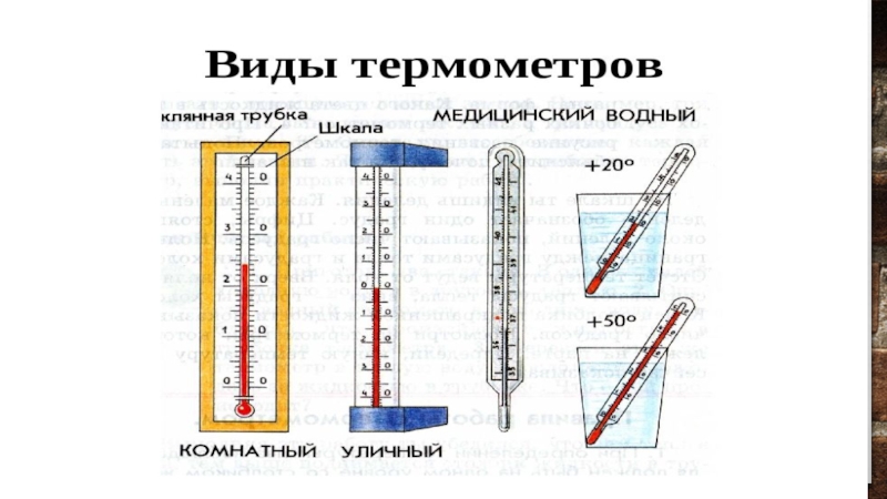 Откуда градусник знает тепло или холодно 2 класс презентация