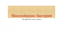 Презентация по биологии для 6 класса Многообразие бактерий
