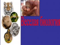 Игра по биологии 6 класс