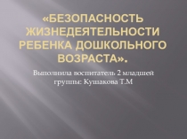 Презентация Безопасность жизнедеятельности ребенка дошкольного возраста