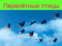 Презентация Перелетные птицы к занятию по внеурочной деятельности на тему Оригами. Птицы