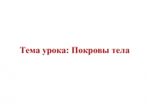 Презентация по биологии на тему Покровы тела 7 класс