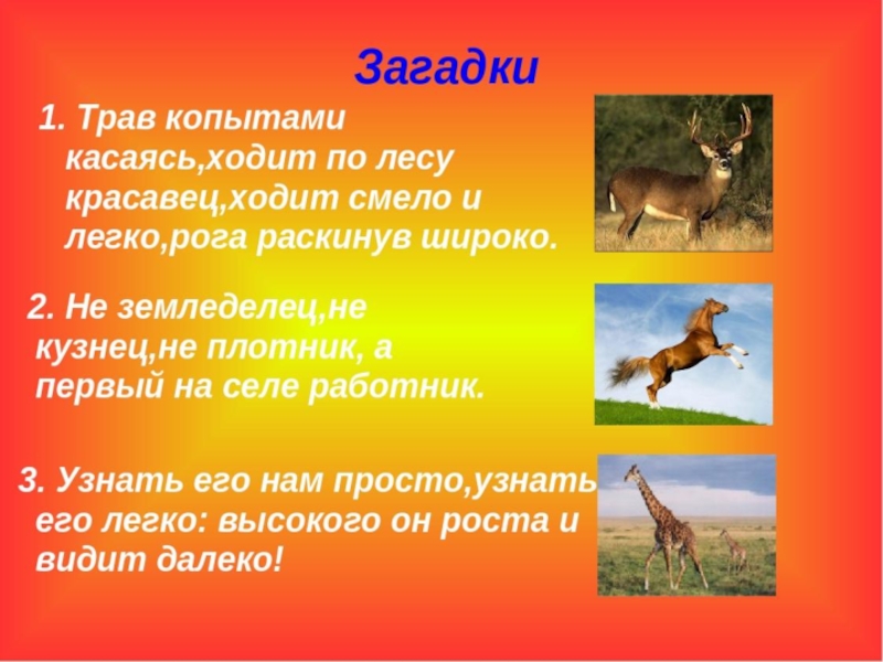 Домашние животные 1 класс. Дикие и домашние животные презентация. Проект про диких животных. Презентация на тему Дикие животные. Презентация про диких животных.