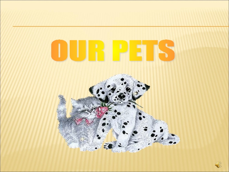 Презентация Презентация по теме Our pets