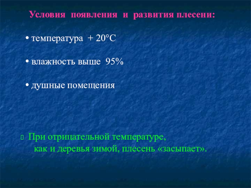 Температуре погибает. Условия появления и развития плесени. Условия появления плесени. Условия возникновения плесени. Условия развития плесени.