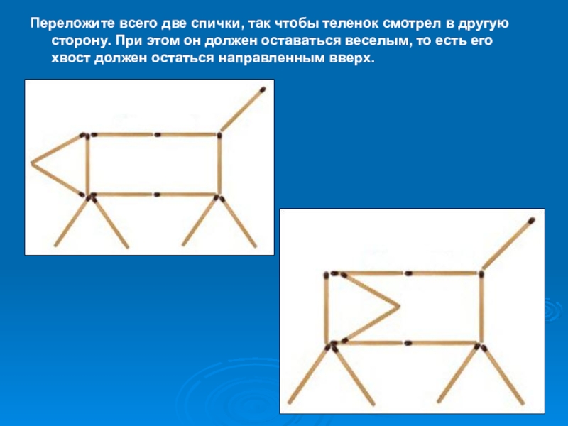 Выложи из спичек изображение коровы скажи какое выражение у этой коровы