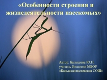 Презентация по биологии Особенности строения и жизнедеятельности насекомых 7 класс