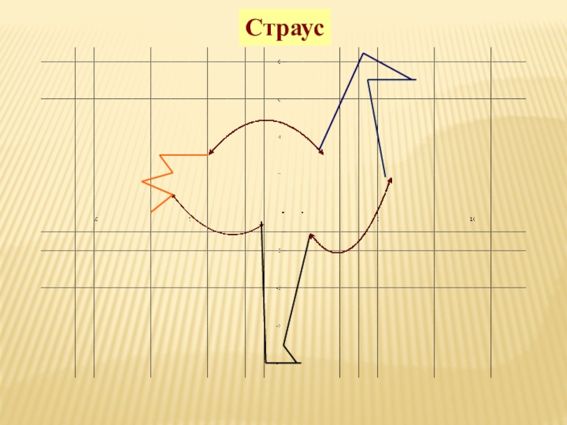 Координатный рисунок страус