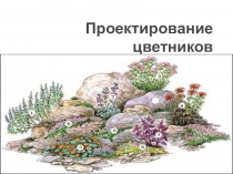 Презентация по рабочему зеленого хозяйства Проектирование цветника