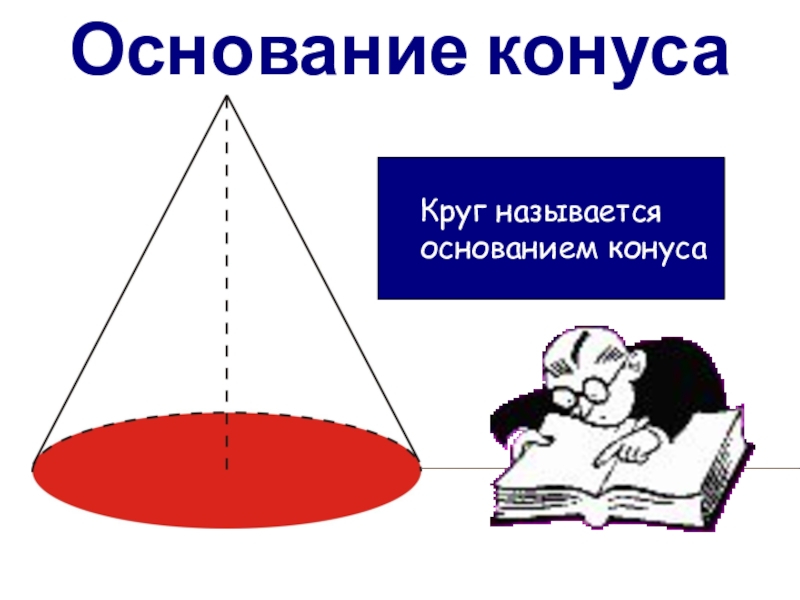 Высотой конуса является. Основание конуса. Что такое основание конуса конуса. Основание. Круг называется основанием конуса.