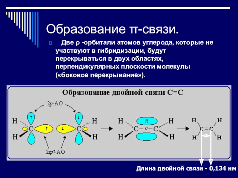 Двойная связь атомов. Образование связей углеродом. Образование связей между атомами. Образование связи. Две двойные связи между атомами углерода.