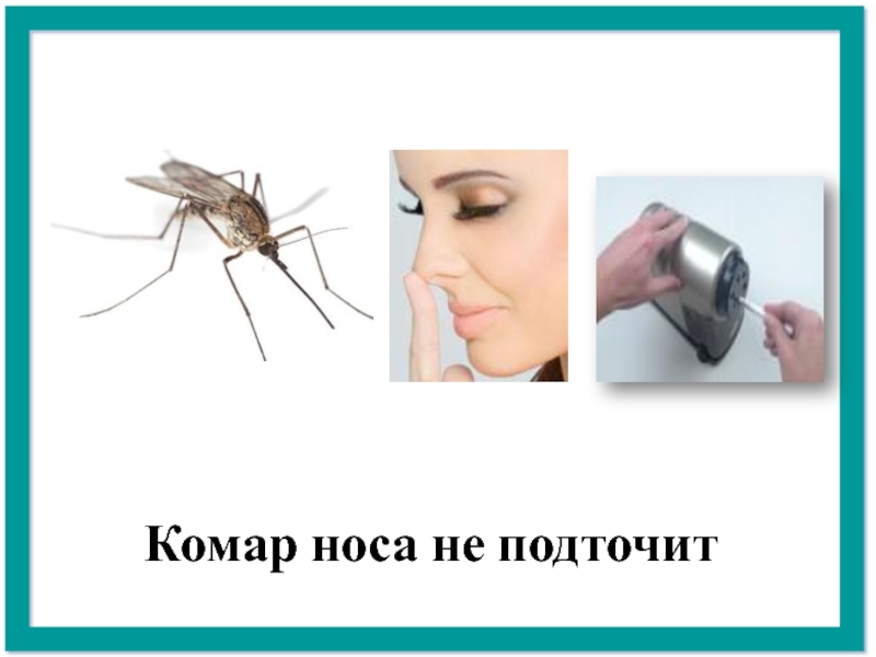 Смысл пословицы комар носа