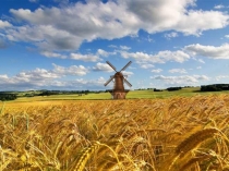 Презентация Вот он хлебушек душистый