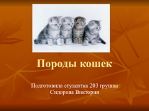 Презентация по окружающему миру