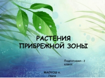ПРЕЗЕНТАЦИЯ РАСТЕНИЯ ПРИБРЕЖНОЙ ЗОНЫ