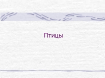 Презентация по теме класс Птицы