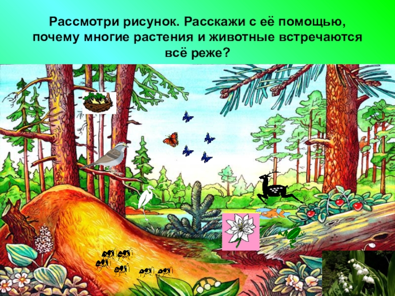 Будем природе другом презентация 2. Рисунок будь природе другом 3 класс. Рисунок будь природе другом 2 класс. Рисунки будем природе другом 2 класс. Картинка про природу будь в природе другом.