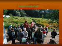 Презентация коллективной проектно-исследовательской работы Действительно ли наступила осень?