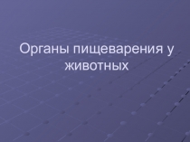 Презентацияорганы пищеварения у животных