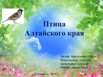 Презентация по внеурочной деятельности Птицы Алтайского края (4 класс)