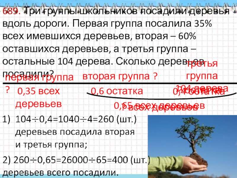 Три группы школьников посадили деревья вдоль дороги