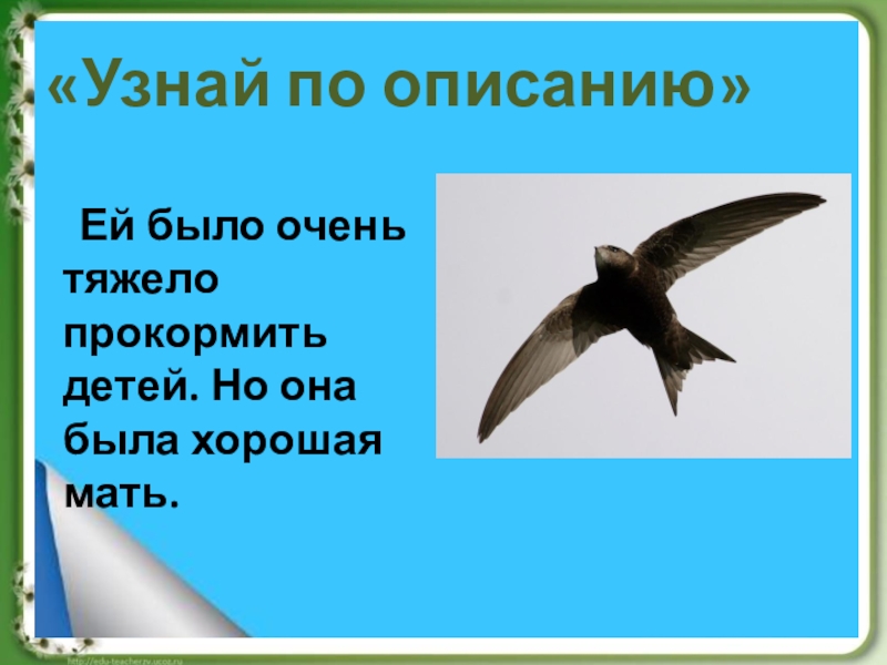 Узнай по описанию. Ей было очень тяжело прокормить детей но она была хорошая мать. Ей было очень тяжело одной прокормить детей. Но она была хорошая мать.. Узнай по описанию кто это. Одной трудно прокормить детей.