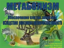 Презентация к уроку биологии на тему:  Обеспечение клеток энергией (9 класс)