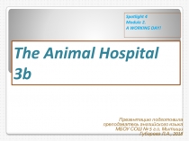 Презентация для урока: The Animal Hospital 2b 4 класс