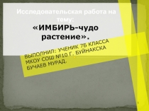 Презентация к исследовательской работе на тему Имбирь- корень жизни.