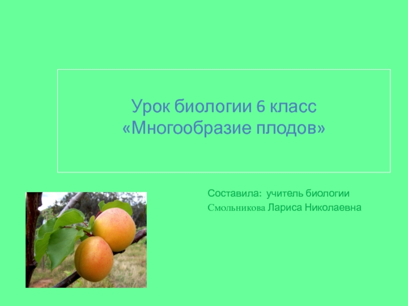 Презентация Презентация по биологии на тему:Многообразие плодов