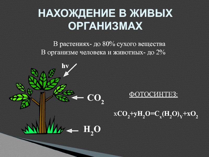 НАХОЖДЕНИЕ В ЖИВЫХ ОРГАНИЗМАХВ растениях- до 80% сухого вещества  В организме человека и животных- до 2%hvCO2H2OФОТОСИНТЕЗ:xCO2+yH2O=Cx(H2O)Y+xO2
