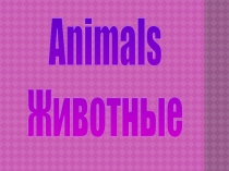 Презентация по английскому языку на тему Животные