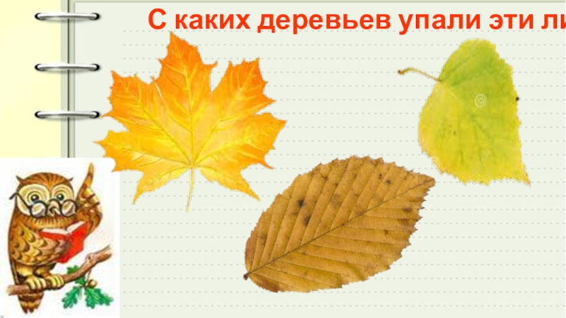 образование новых слов при помощи приставок. омонимы лист. образование слова лист.