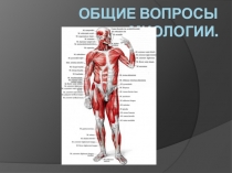 Общие вопросы миологии