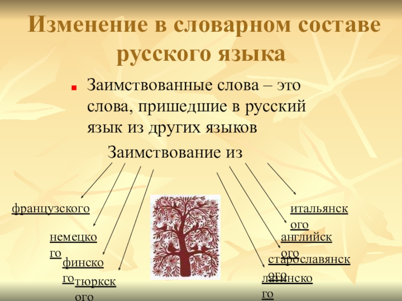 Новые иноязычные слова в русском языке проект