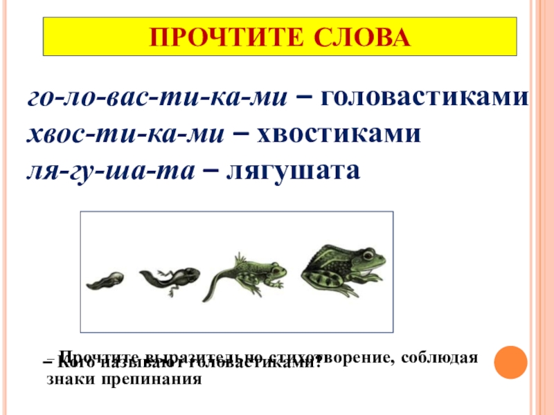 Презентация по литературному чтению 1 класс лягушата берестов