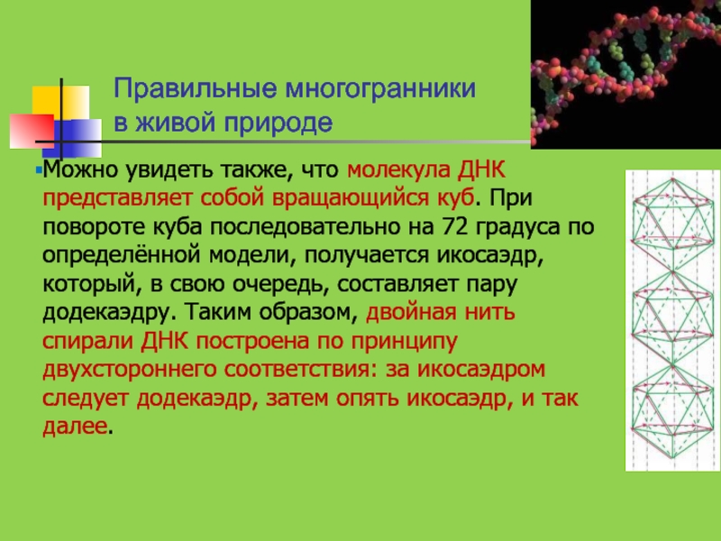 Актуальность проекта многогранники