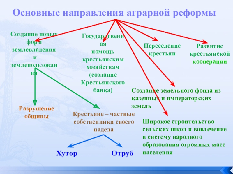 Основные направления аграрной реформыРазрушение общиныХуторКрестьяне – частныесобственники своего наделаОтрубСоздание земельного фонда из казенных и императорских земельШирокое строительство