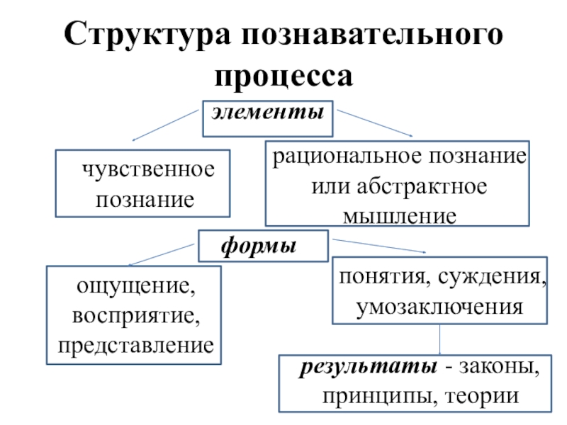 Структура познавательной