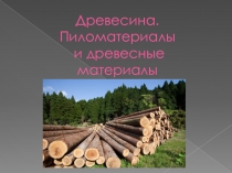 Презентация к уроку в 5 классе на тему Древесина. Пиломатериалы и древесные материалы