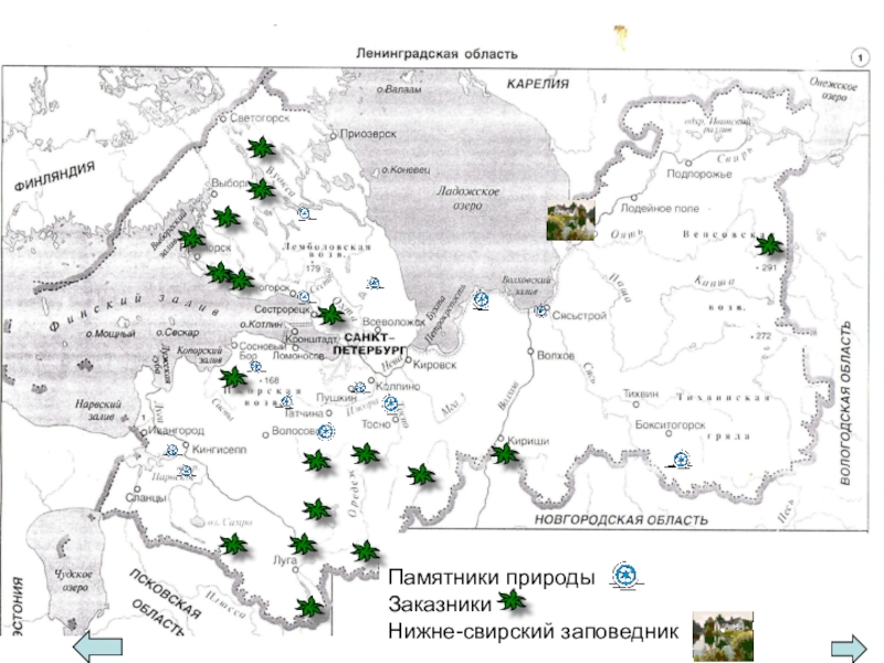 Карта заповедников ленинградской области