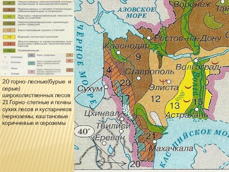 Природные зоны юга. Природные зоны Северного Кавказа карта. Карта почв Северо Кавказского экономического района. Природные зоны Северо Кавказского района. Природные зоны Северо Кавказского экономического района.