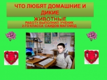 Что любят домашние и дикие животные