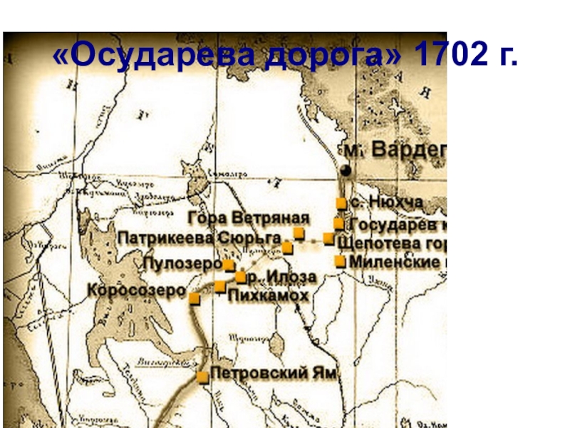 Проект осударева дорога