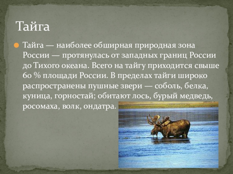 Природные зоны россии 4 класс окружающий мир презентация