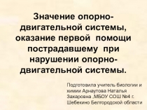 Значение опорно-двигательной системы, оказание помощи при нарушении опорно-двигательной системы