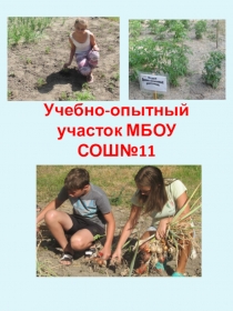 Презентация отчета Пришкольного учебно-опытного участка