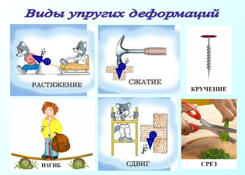 Деформация упругости